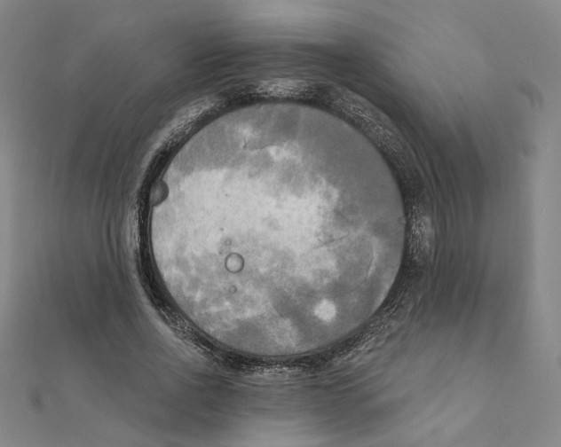 X0000111220734200907301225