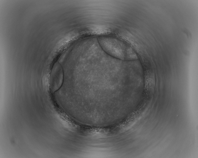 X0000111220736200907301225