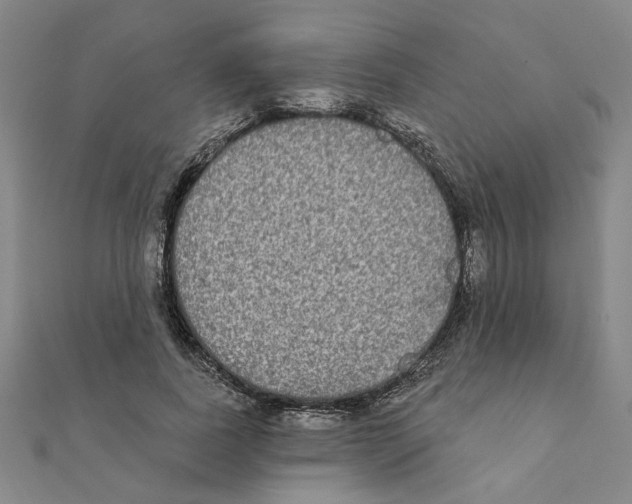 X0000111220739200907301225