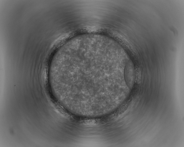 X0000111220740200907301225