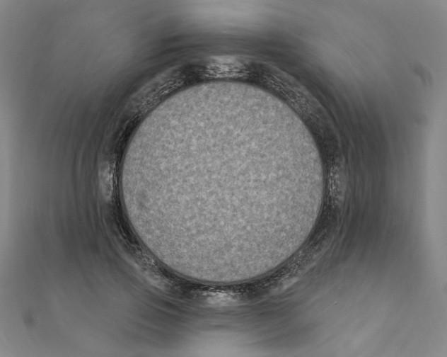 X0000111220741200907301225