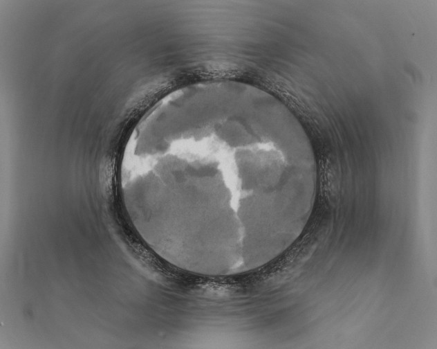 X0000111220742200907301225