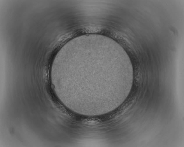 X0000111220743200907301225