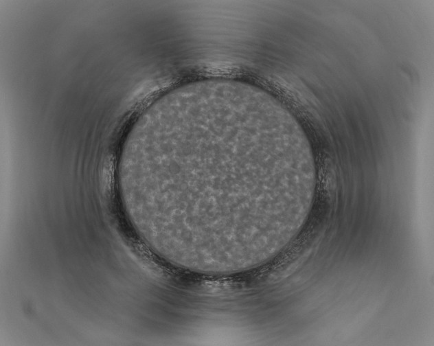 X0000111220744200907301225
