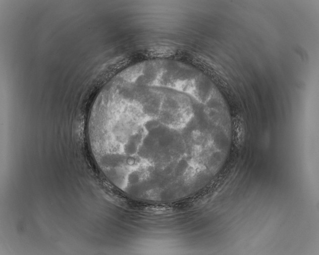 X0000111220745200907301225