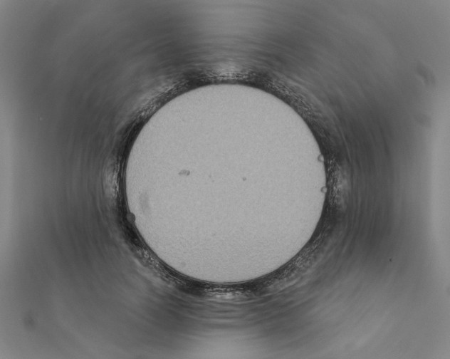 X0000111220746200907301225