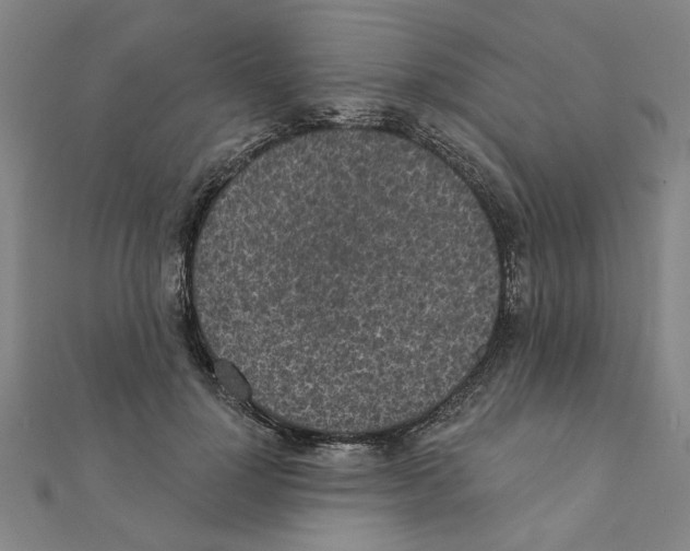 X0000111220748200907301225