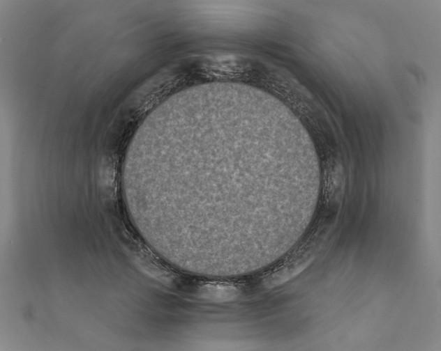 X0000111220749200907301225