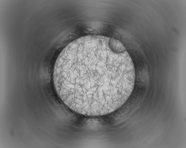 X0000111220751200907301225