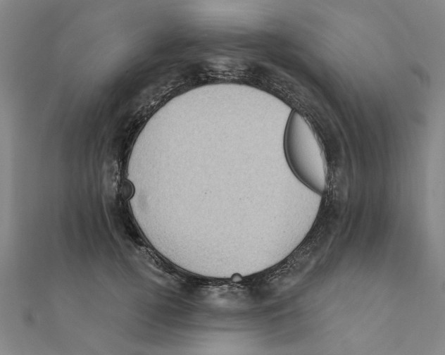 X0000111220752200907301225