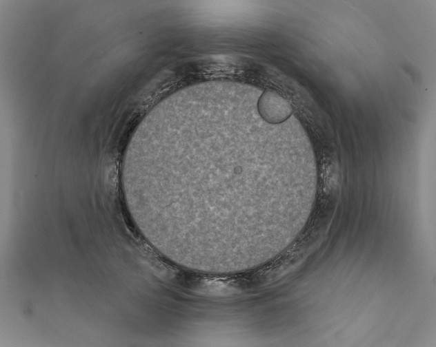 X0000111220753200907301225