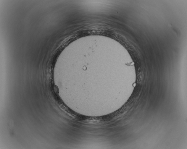 X0000111220756200907301225