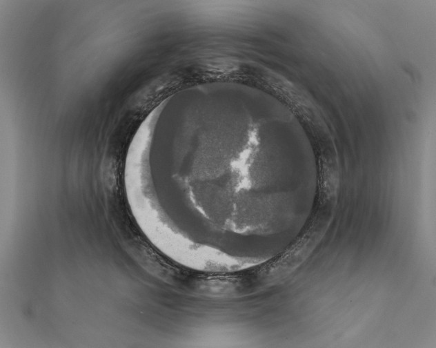 X0000111220758200907301225