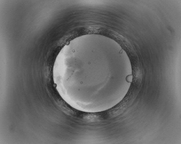 X0000111220759200907301225