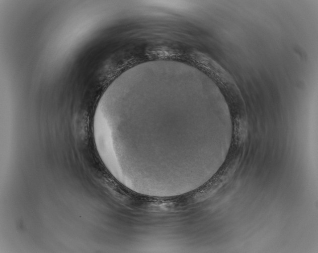 X0000111220760200907301225