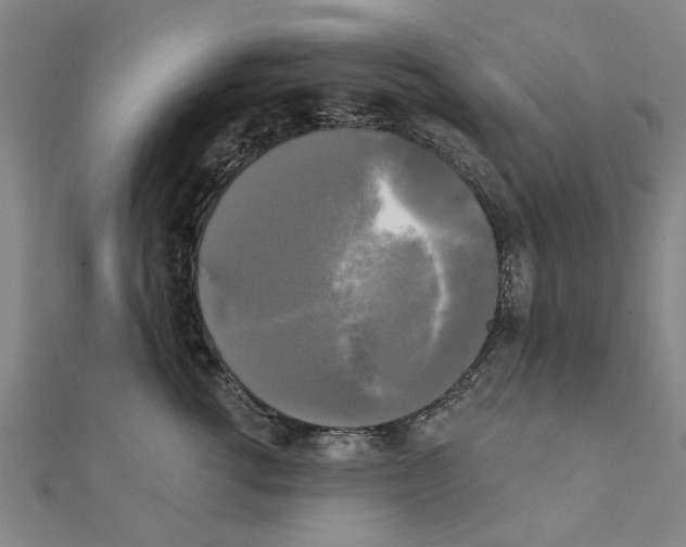 X0000111220762200907301225