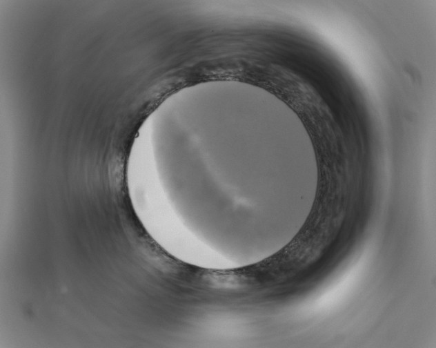 X0000111220767200907301225