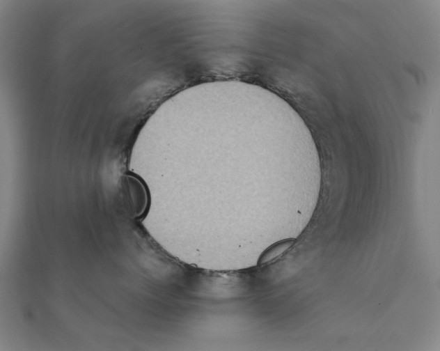 X0000111220768200907301225