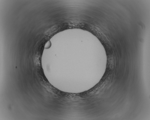 X0000111220770200907301225