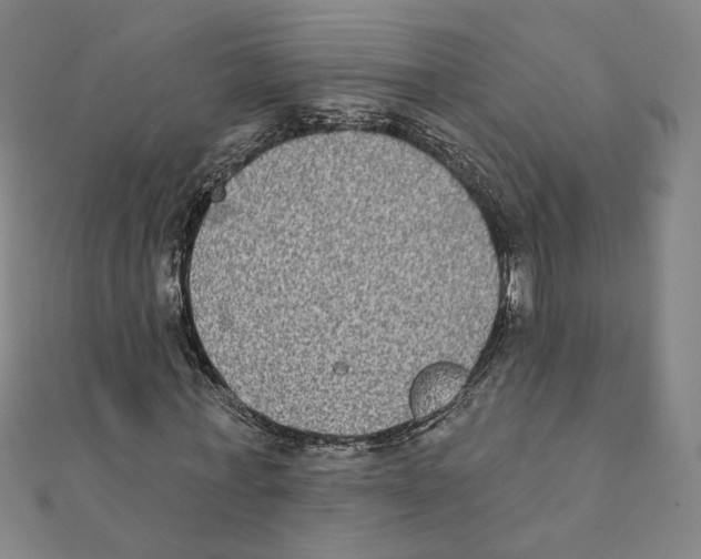 X0000111220771200907301225