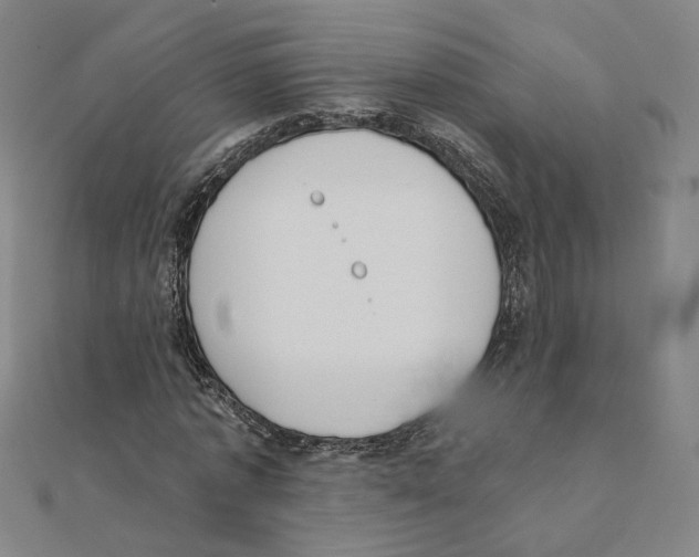 X0000111220773200907301225