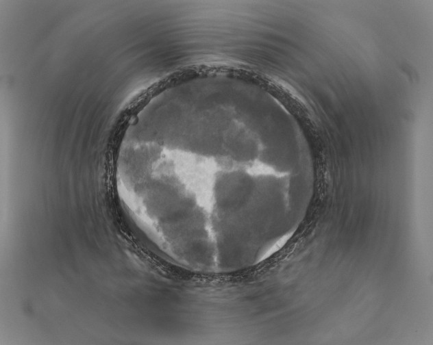 X0000111220775200907301225