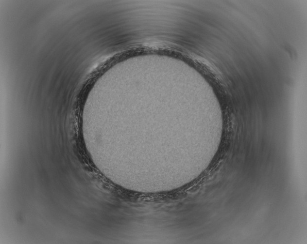 X0000111220776200907301224