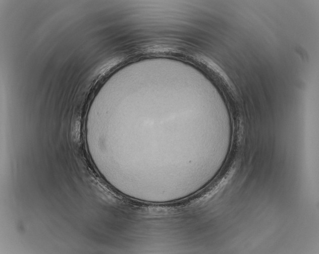 X0000111220777200907301224