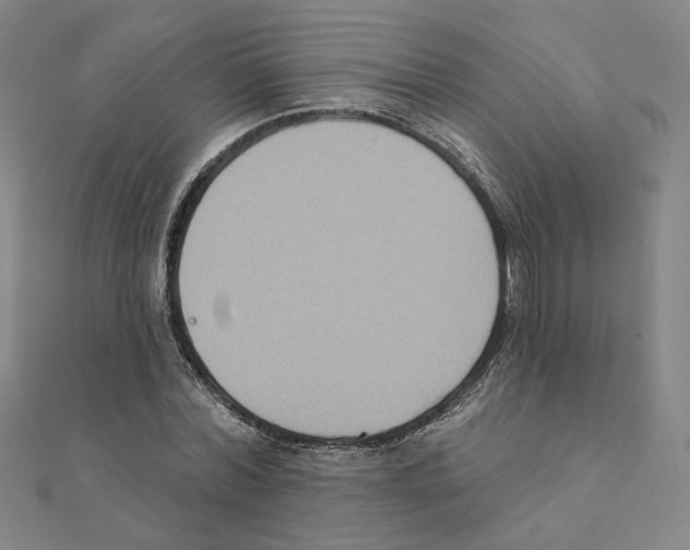 X0000111220780200907301224