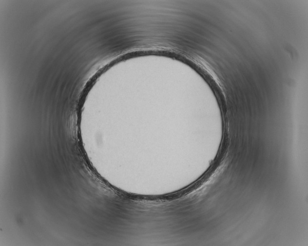 X0000111220781200907301224