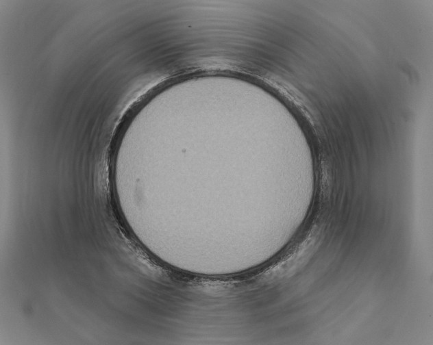 X0000111220782200907301224