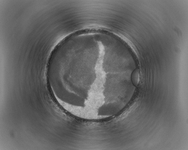 X0000111220783200907301224