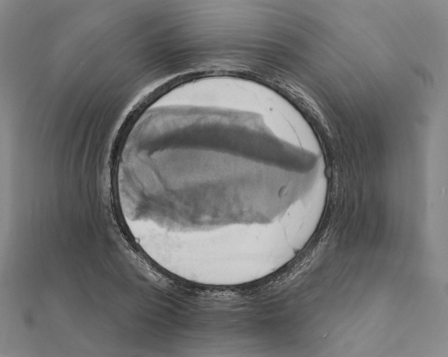 X0000111220784200907301224