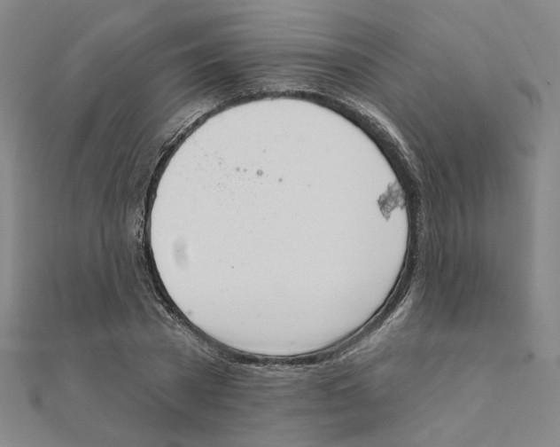 X0000111220785200907301224