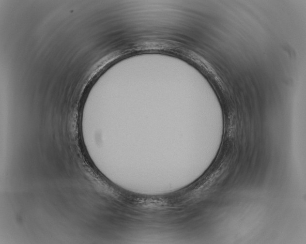 X0000111220786200907301224