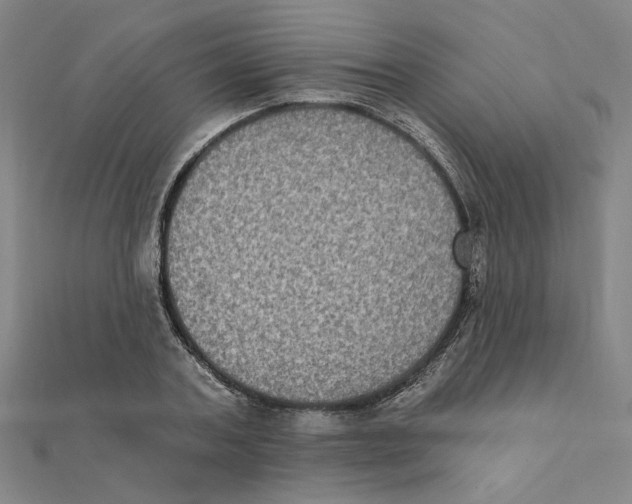 X0000111220787200907301224