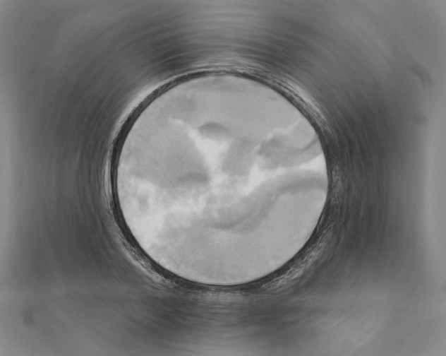X0000111220788200907301224