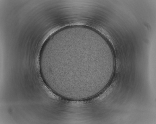 X0000111220789200907301224