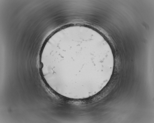 X0000111220791200907301224