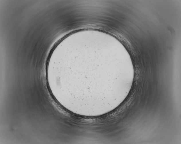 X0000111220792200907301224
