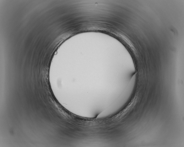 X0000111220793200907301224