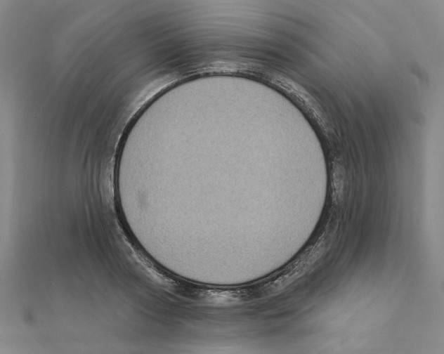 X0000111220794200907301224
