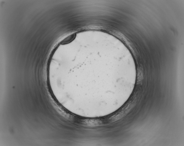 X0000111220795200907301224