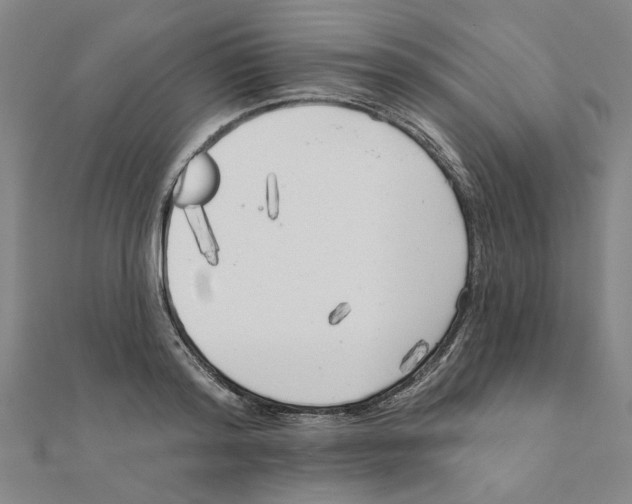 X0000111220796200907301224