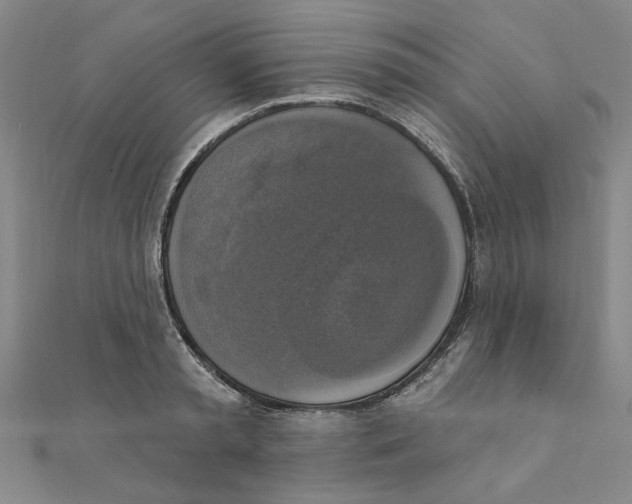 X0000111220797200907301224