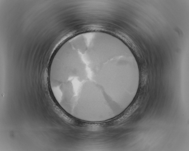 X0000111220798200907301224