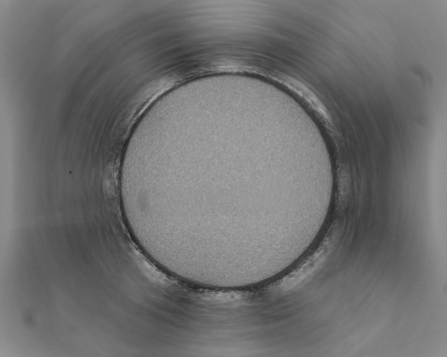 X0000111220801200907301224