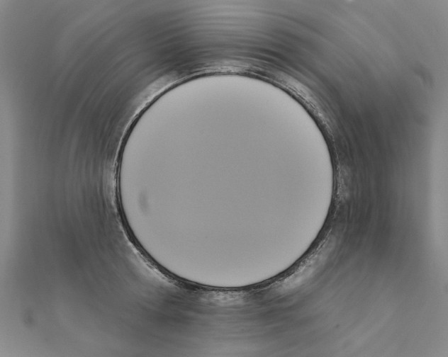 X0000111220802200907301224