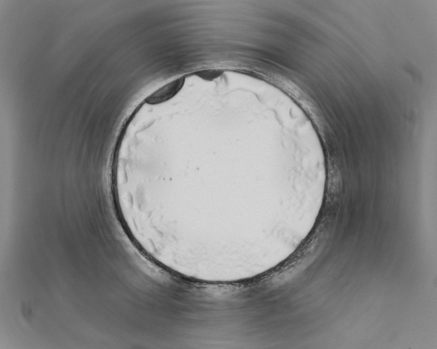 X0000111220803200907301224