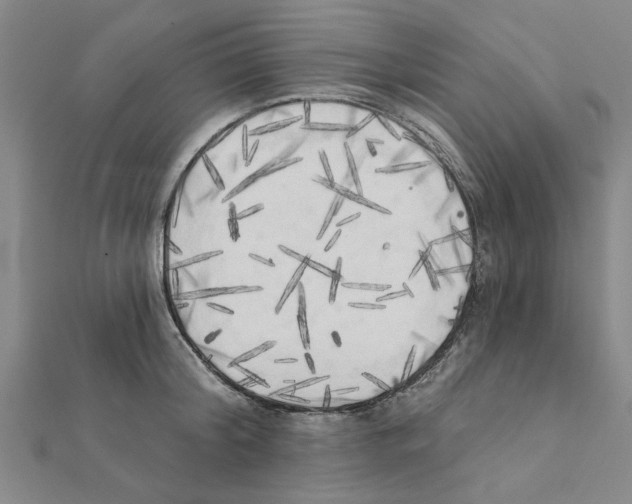 X0000111220804200907301224